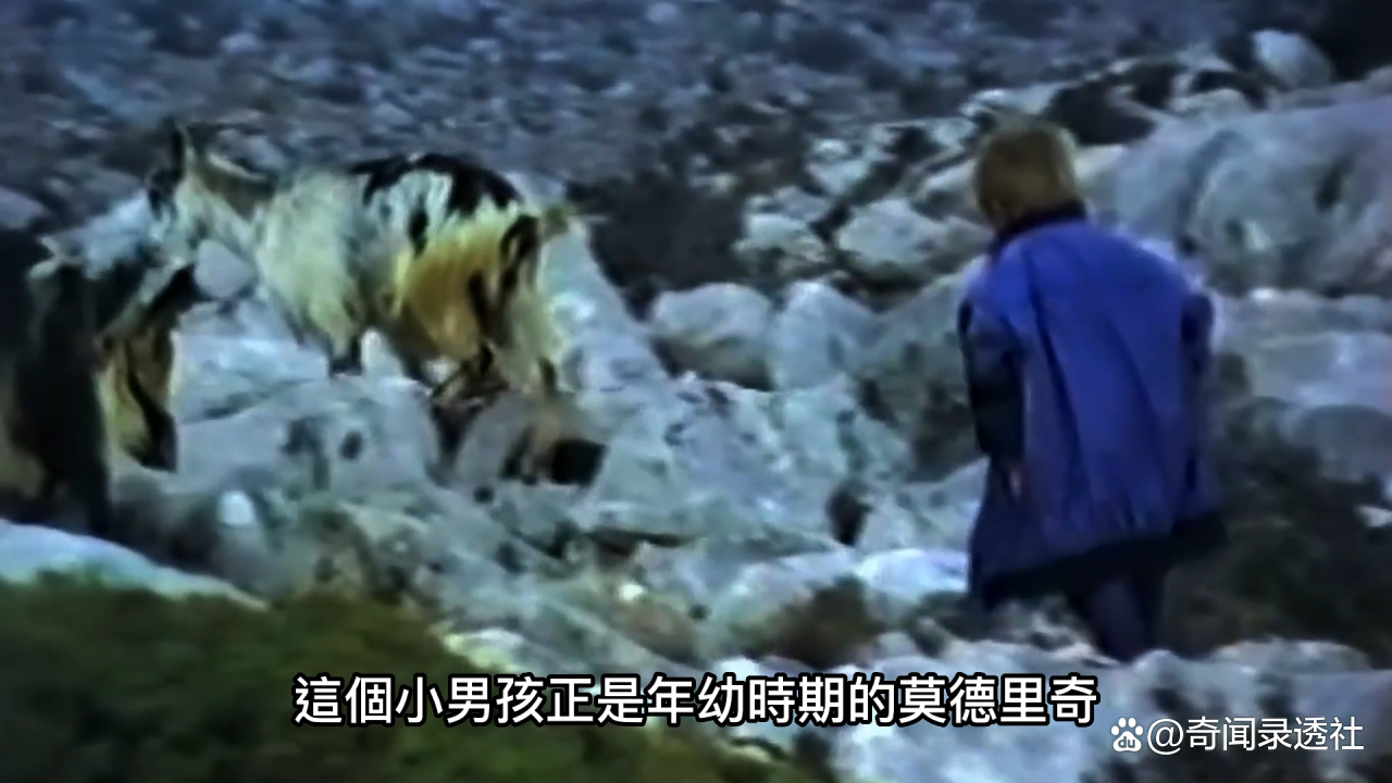 德里奇退役_足球历史100球星排名_足球历史前50球星莫德里奇